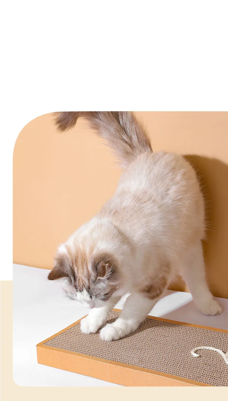 Cat Scratching Board