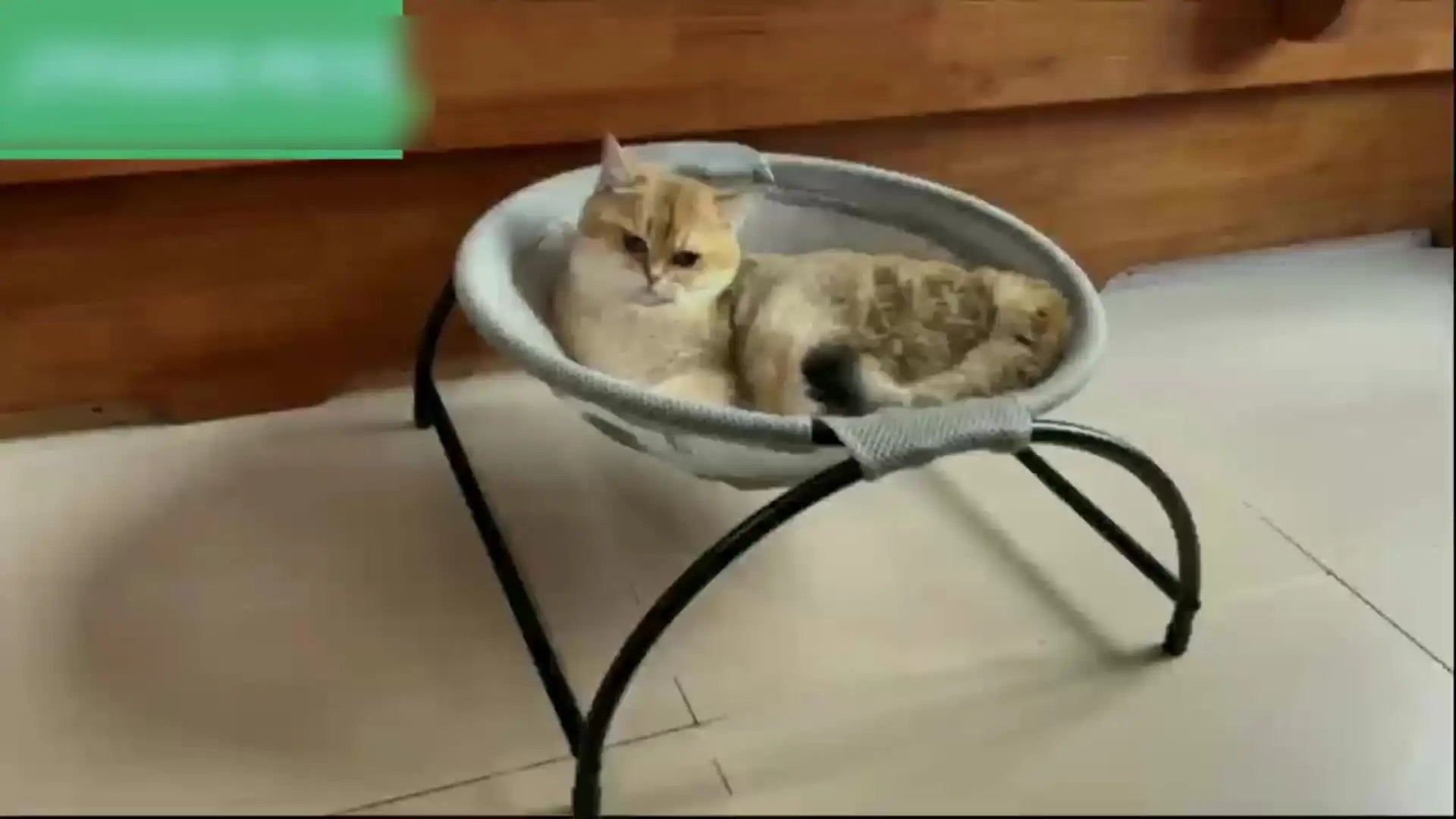 Cat Hammock Cooling Bed