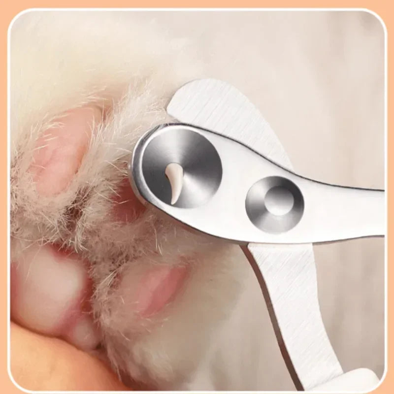 Professional Nail Clippers