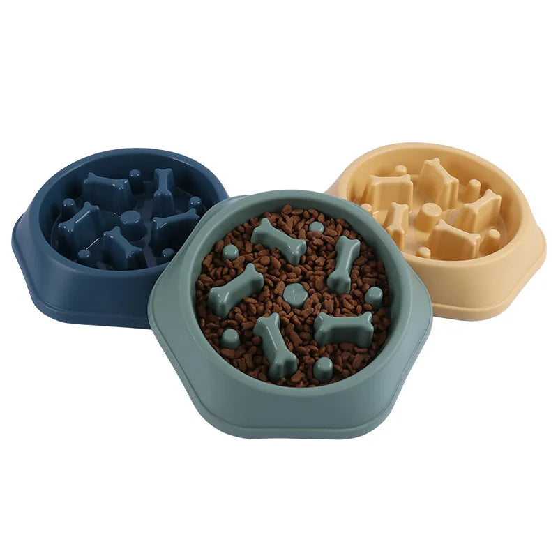 Slow Feeding Dog Bowl