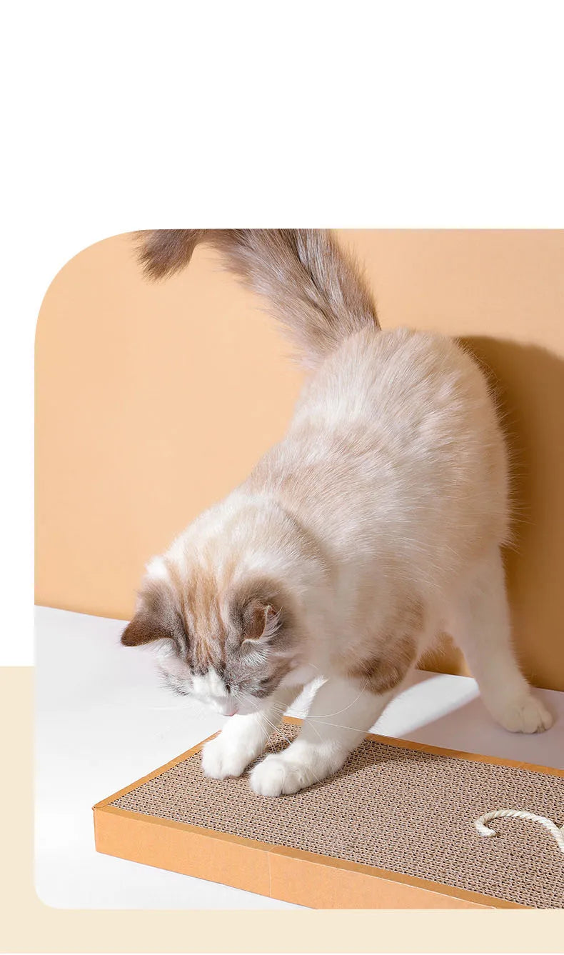 Cat Scratching Board