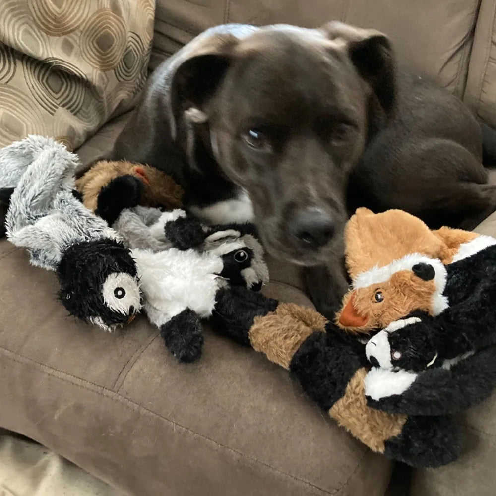 Squeaky Dog Chew Toy