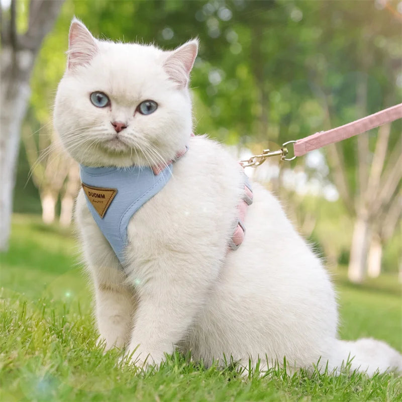 Cat Outdoor Walking Supplies