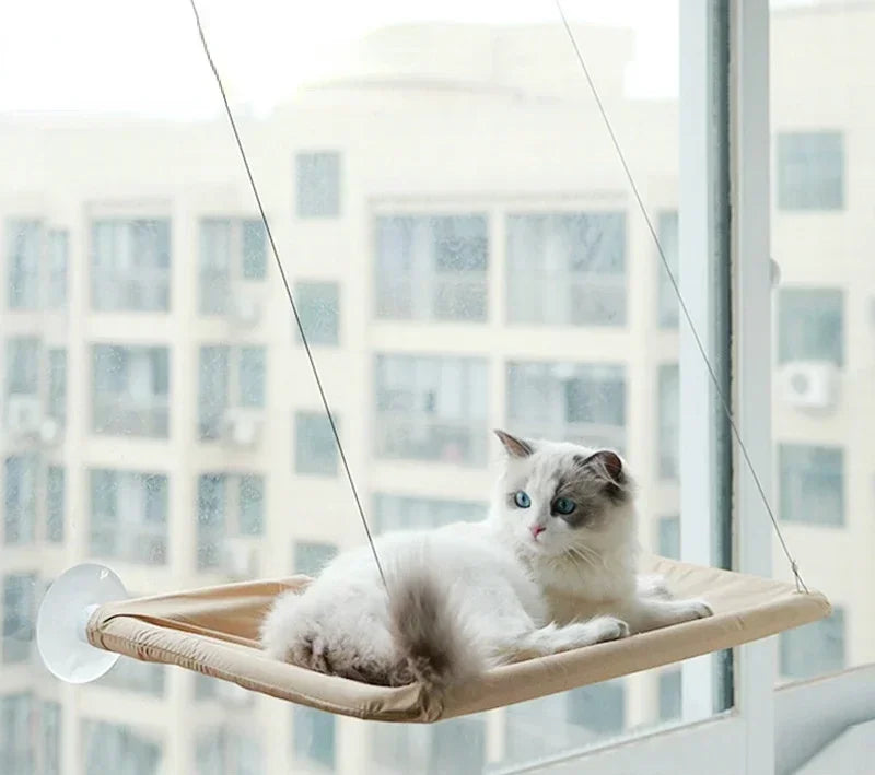 Window Hanging Cat Bed