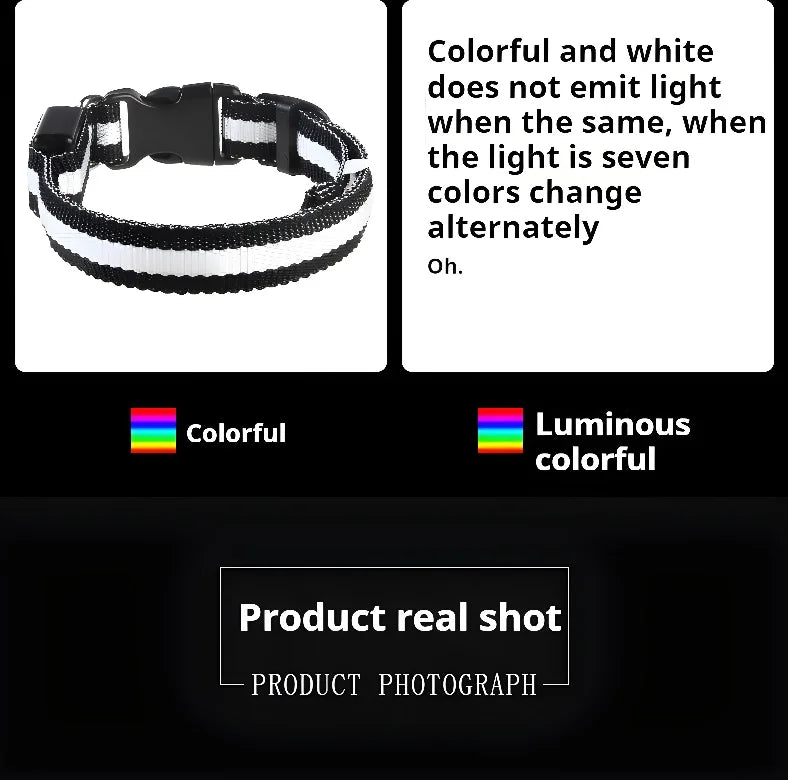 Dog Collar With LED Night
