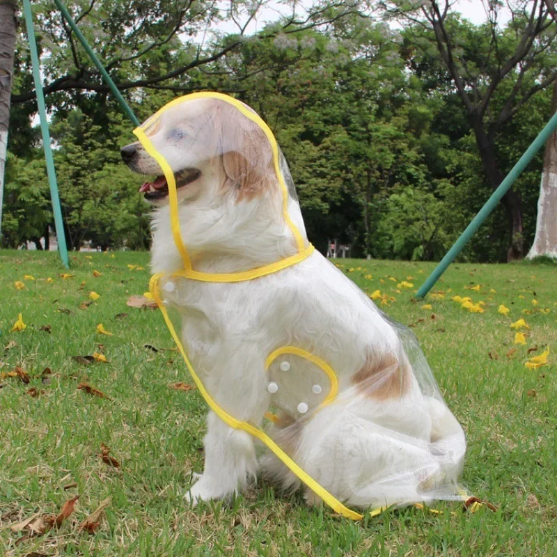 Puppy Transparent Hooded Waterproof Rainwear