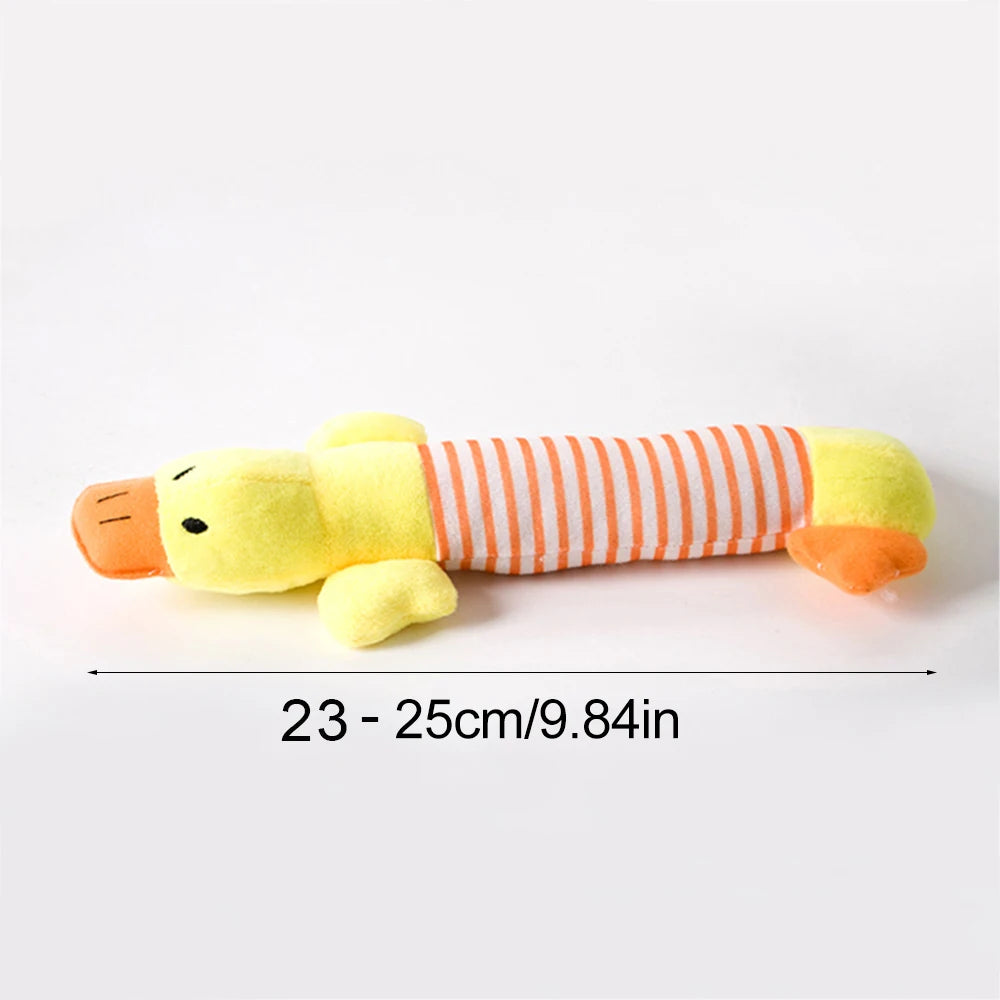 Squeaky Dog Chew Toy