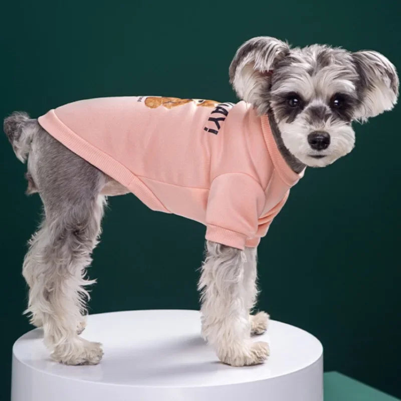 Cute Puppy Sweatshirt - Bear Pattern