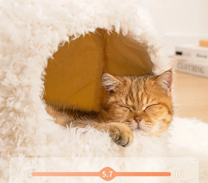 Comfortable Cats Bed