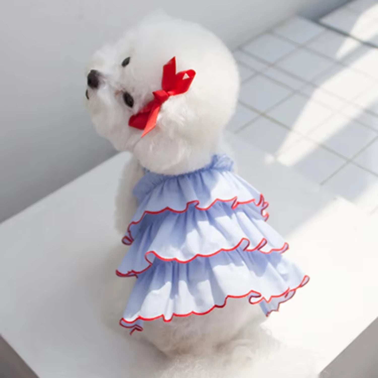 Cute Puppy Princess Dress