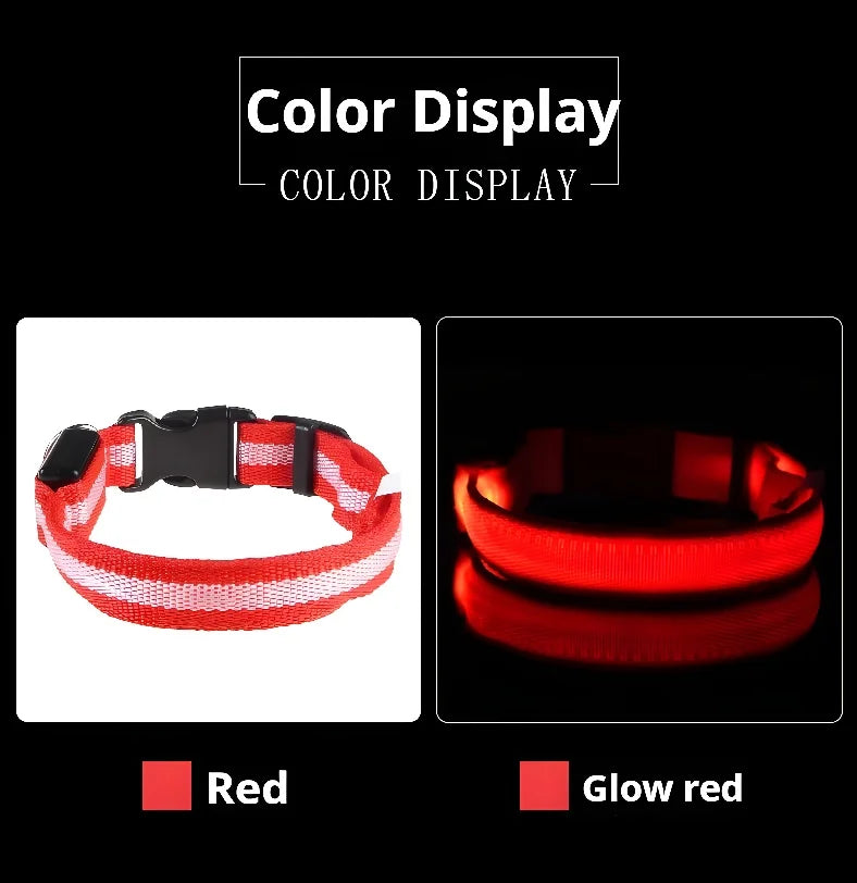 Dog Collar With LED Night