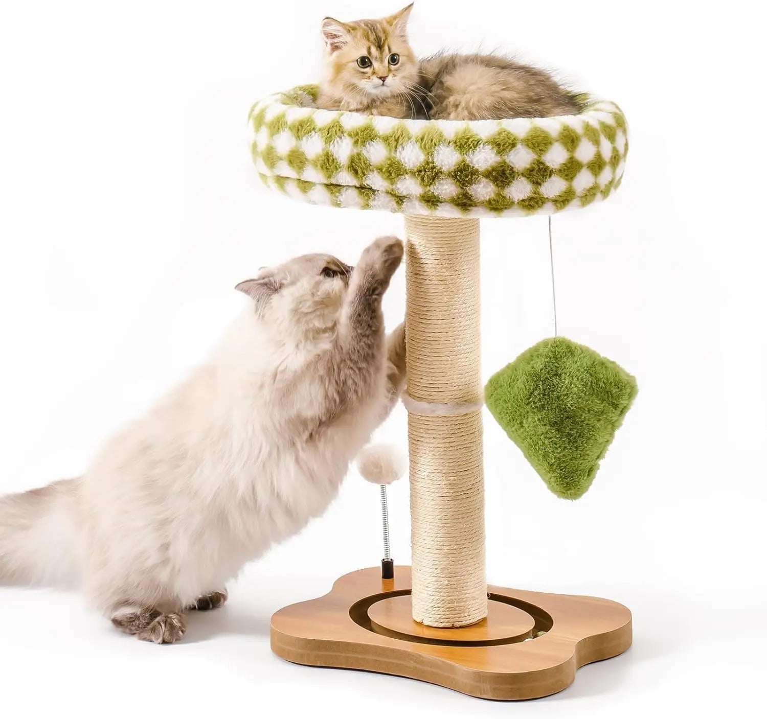Cat Scratching Post with Bed