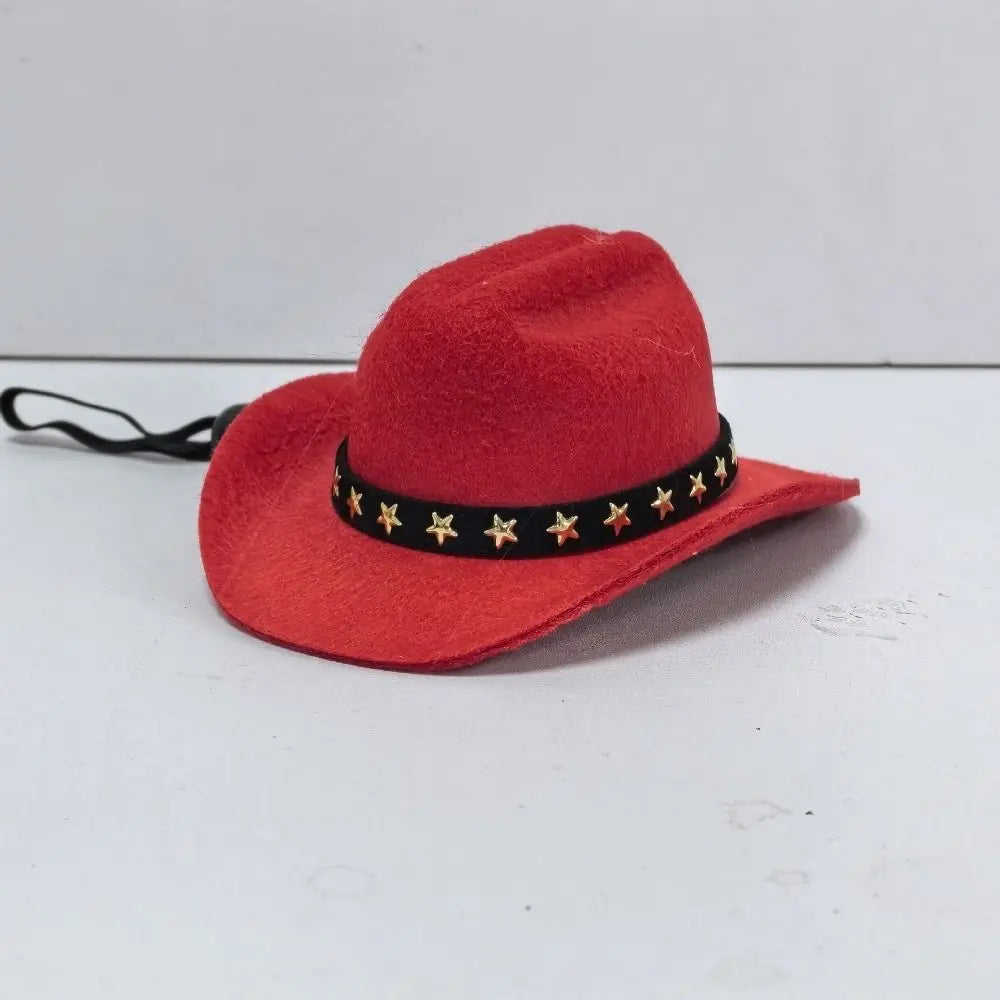 Adjustable Pet Crowboy Hat
