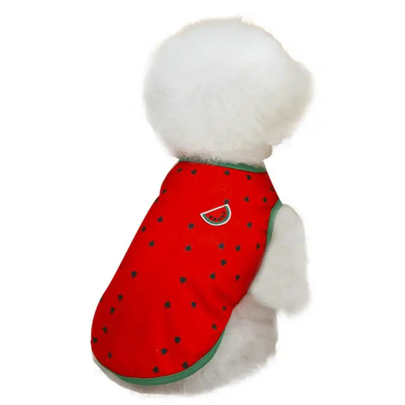 Soft Breathable Dog Clothes - Cute Watermelon Pineapple Outfit