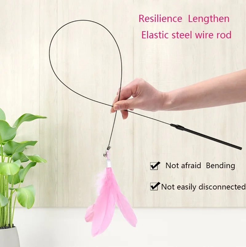 Handheld/ Adsorbable Feather Teaser