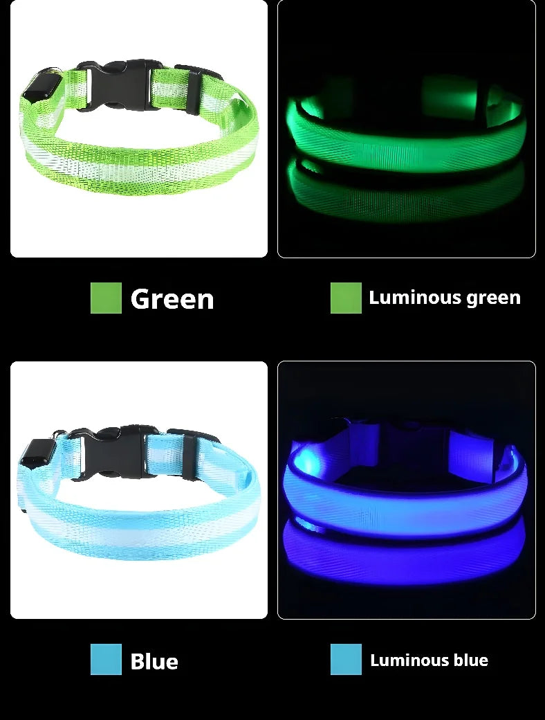 Dog Collar With LED Night