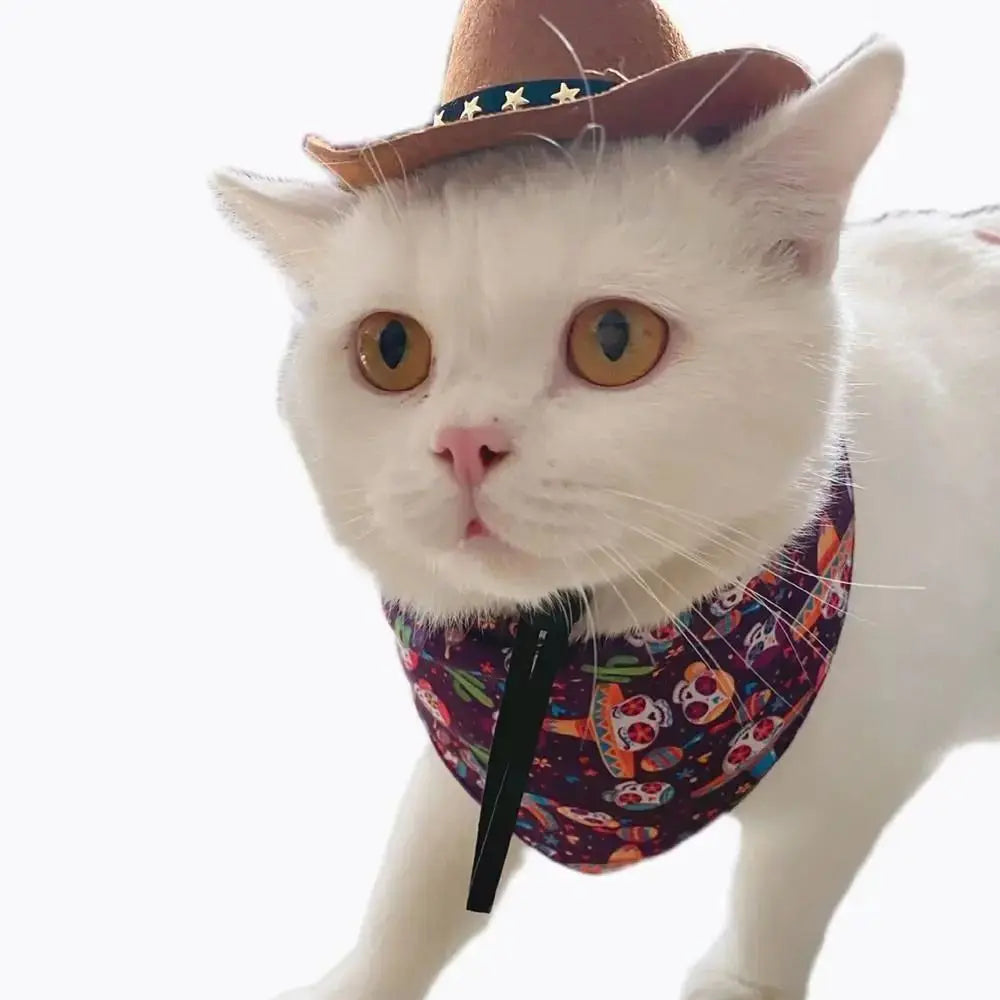 Adjustable Pet Crowboy Hat
