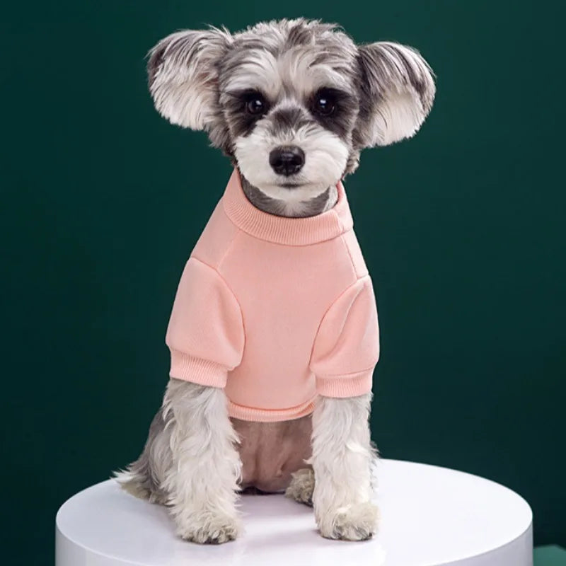 Cute Puppy Sweatshirt - Bear Pattern