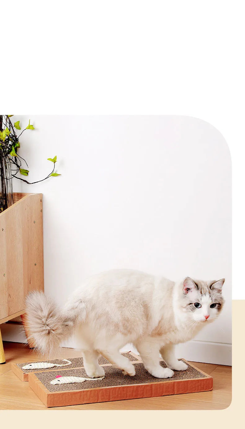 Cat Scratching Board