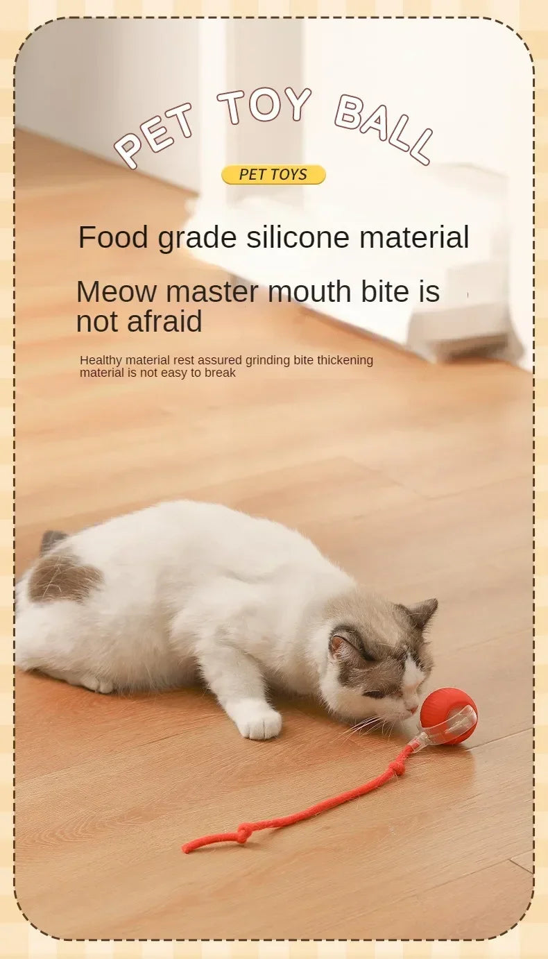 Cat Interactive Electric Ball