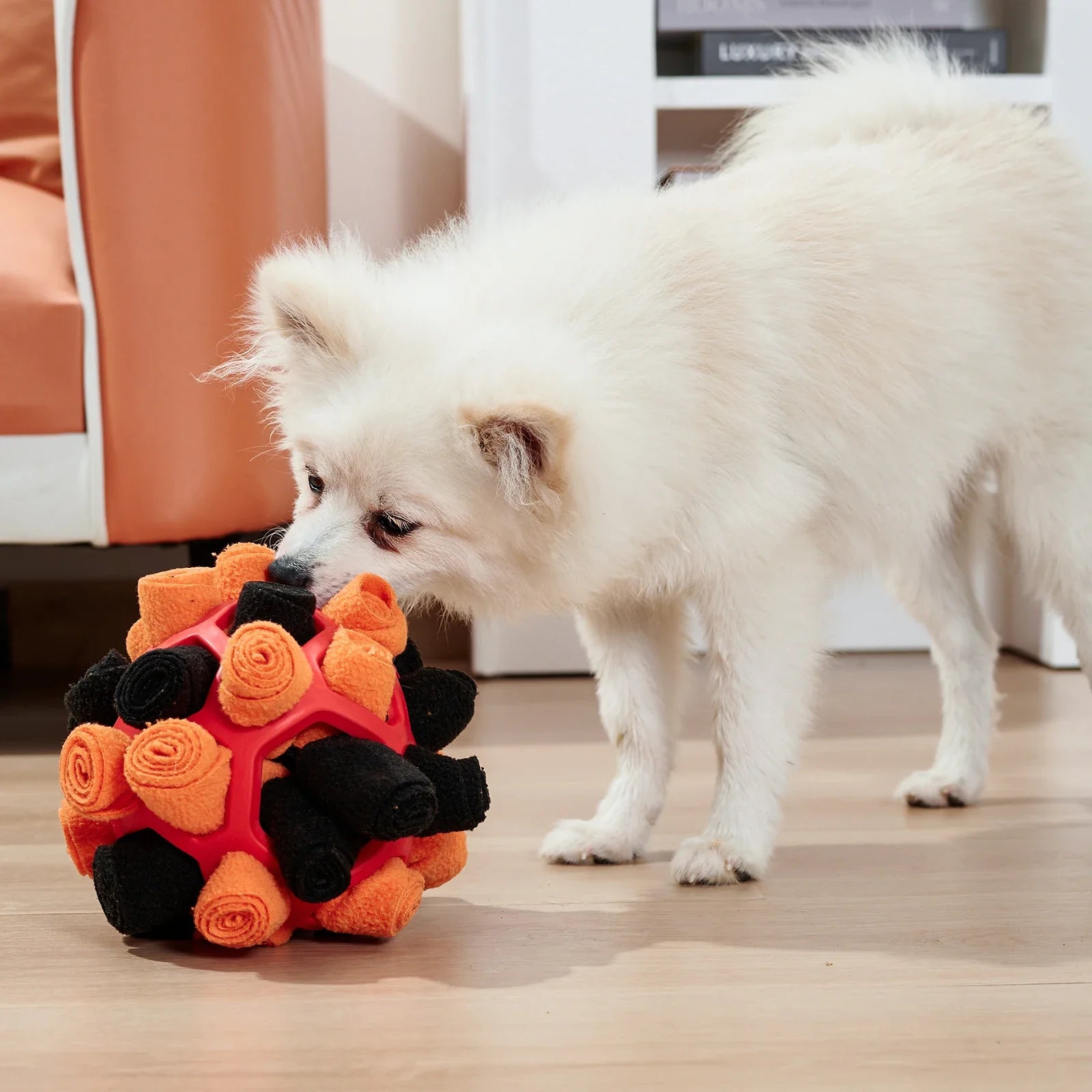 Pet Sniffing Ball