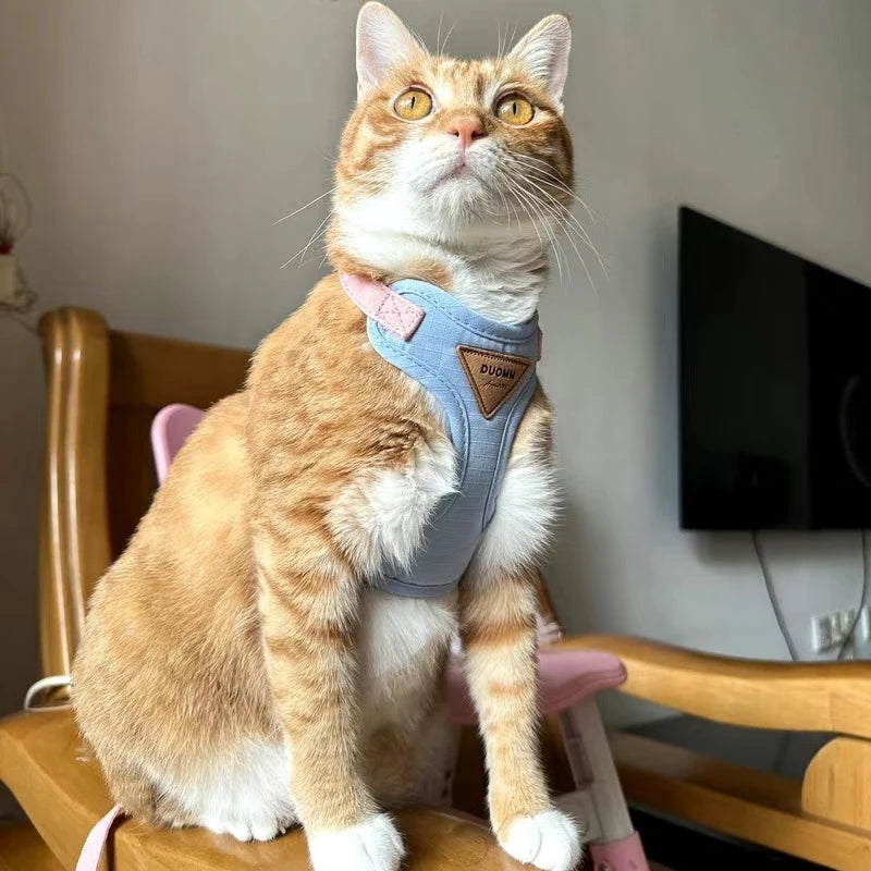 Cat Outdoor Walking Supplies