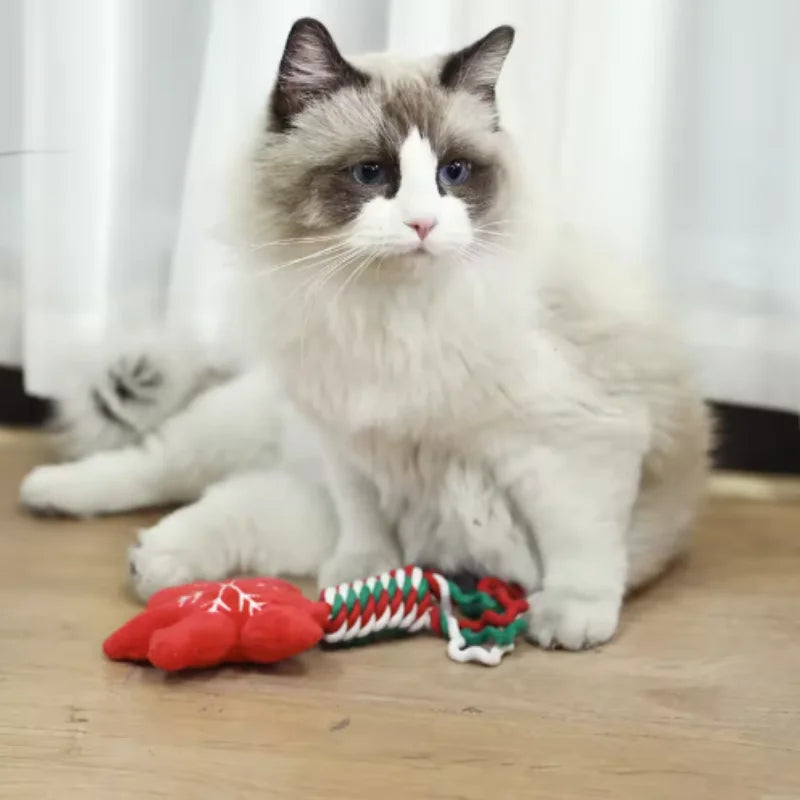 Christmas Dog Squeakey Chew Toys