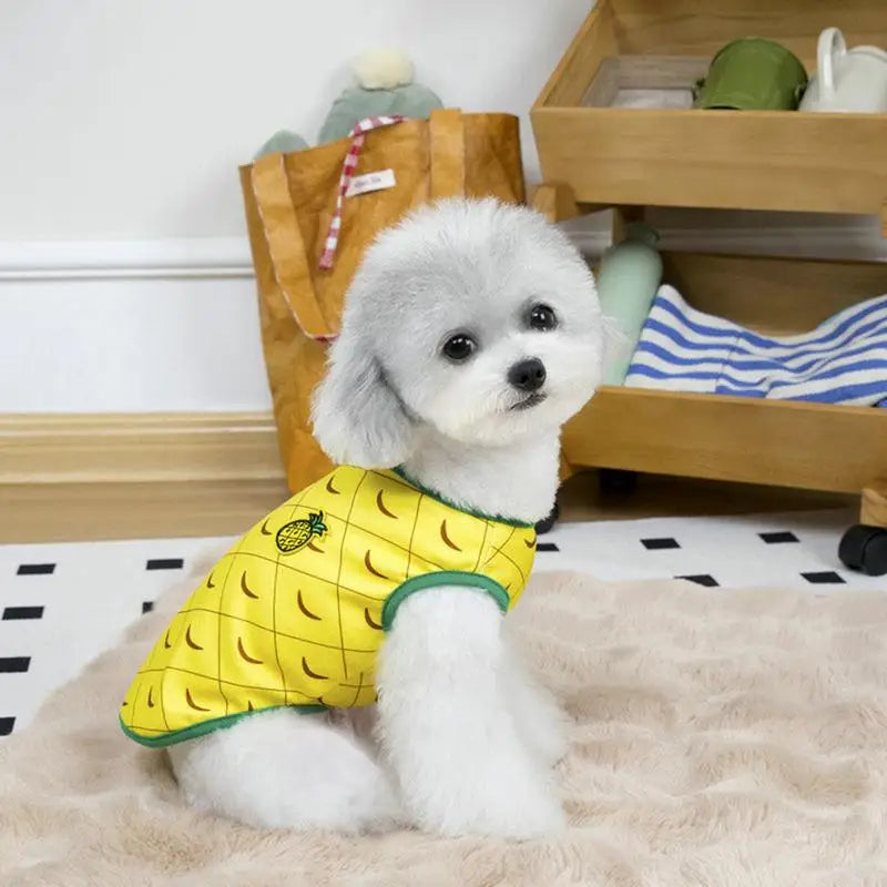 Soft Breathable Dog Clothes - Cute Watermelon Pineapple Outfit