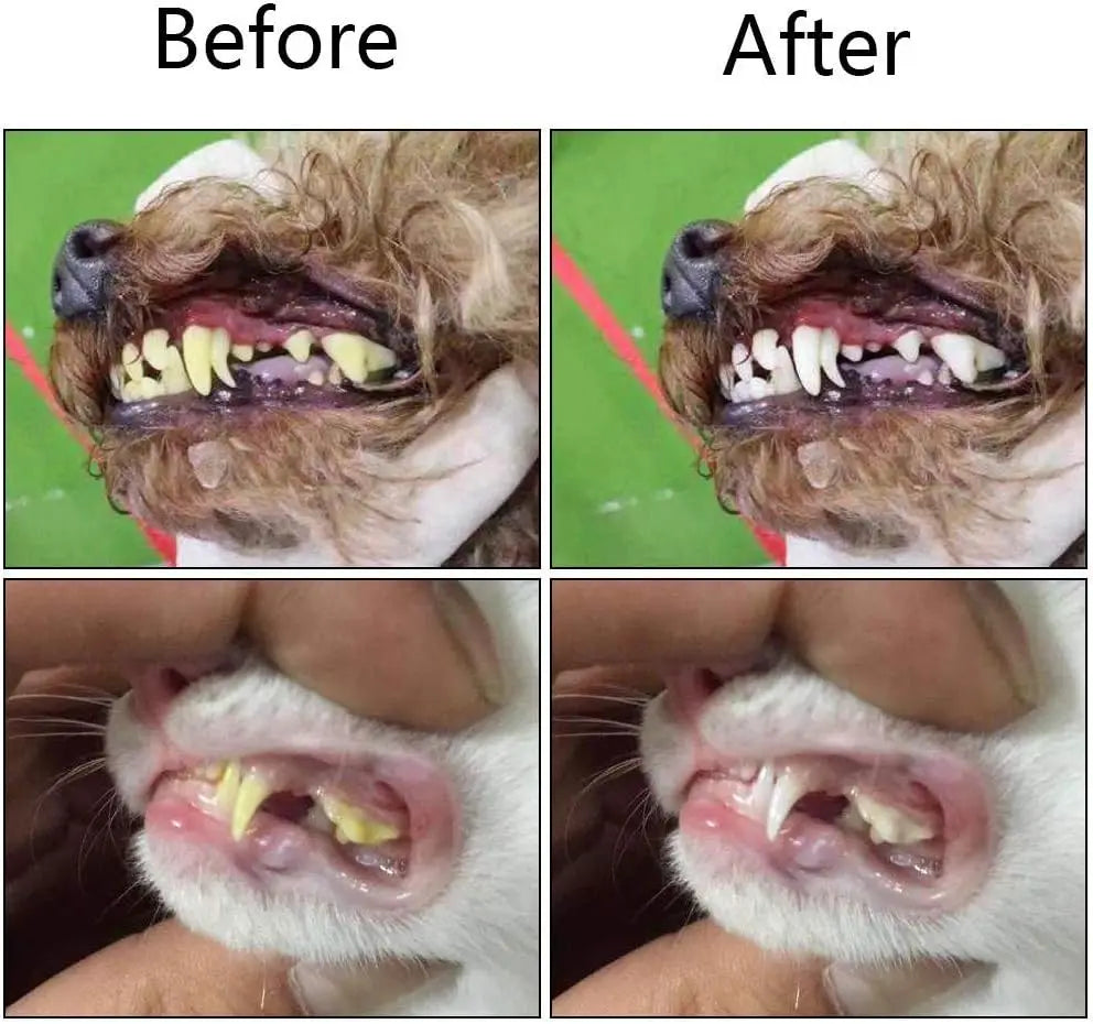 Soft Pet Finger Toothbrushes Dog