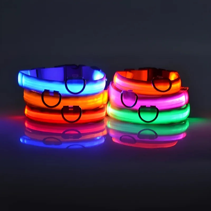 Dog Collar With LED Night