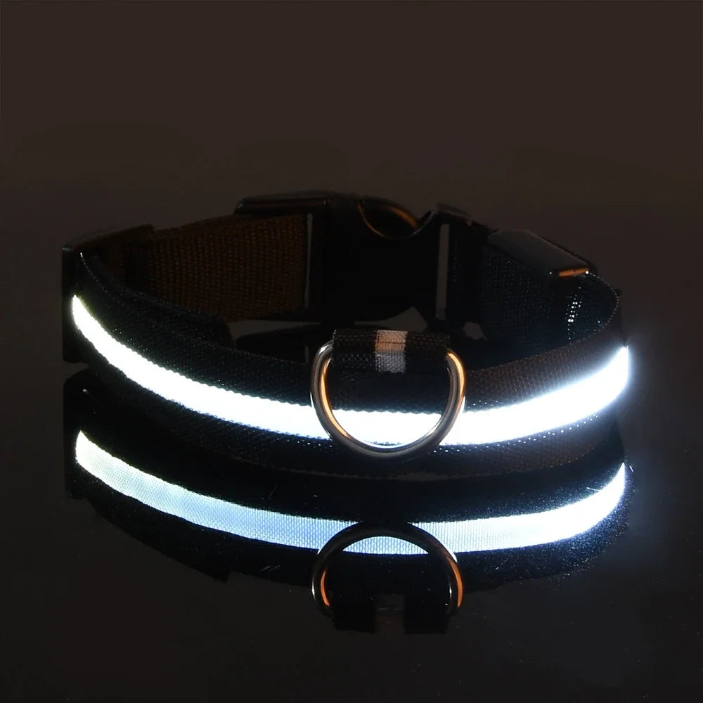 Dog Collar With LED Night