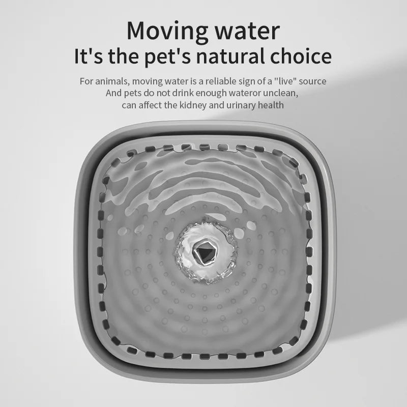 3L Cat Water Fountain & Filter