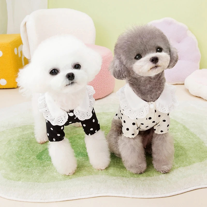 Cute Polka Dotted Lace Bow Black Puppy Shirt