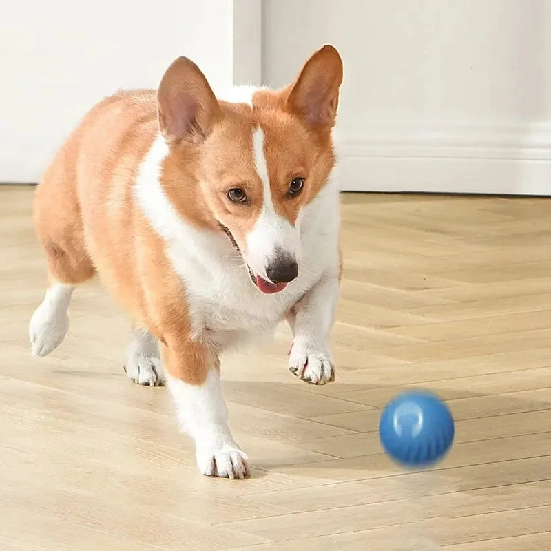 Smart Pet Toy Electronic Ball