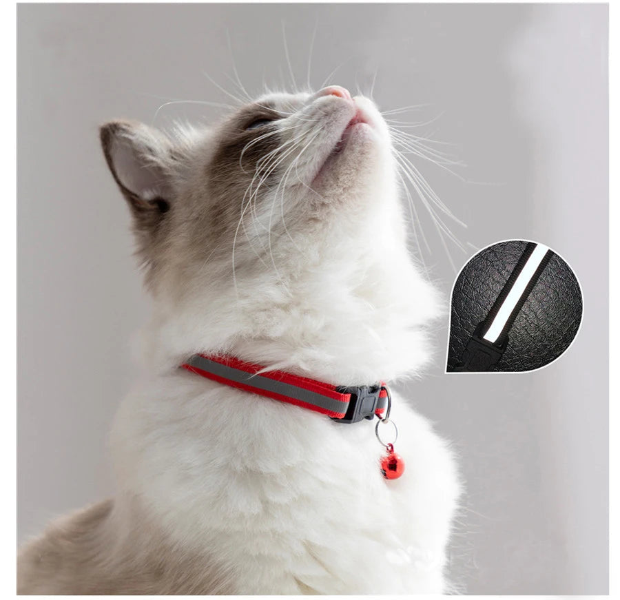 2Pcs/Pack Adjustable Collar