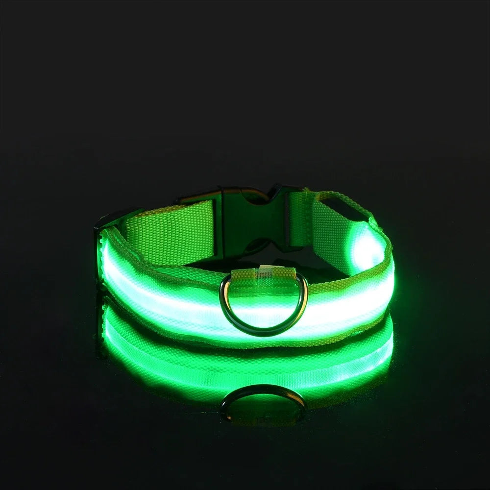 Dog Collar With LED Night