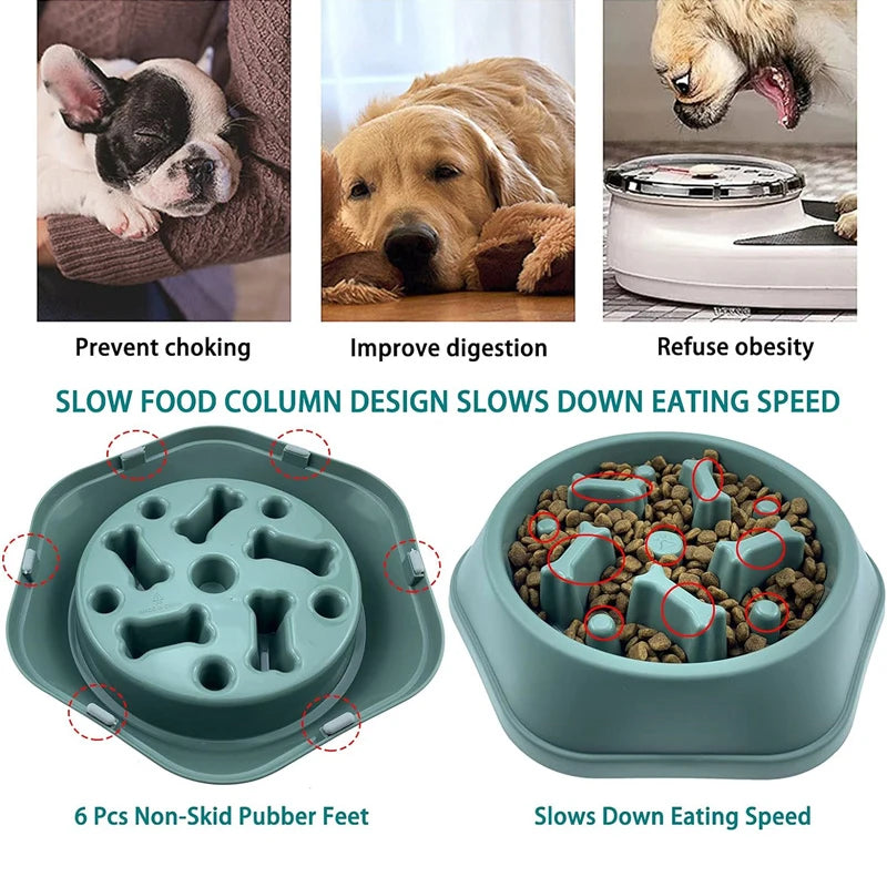 Slow Feeding Dog Bowl