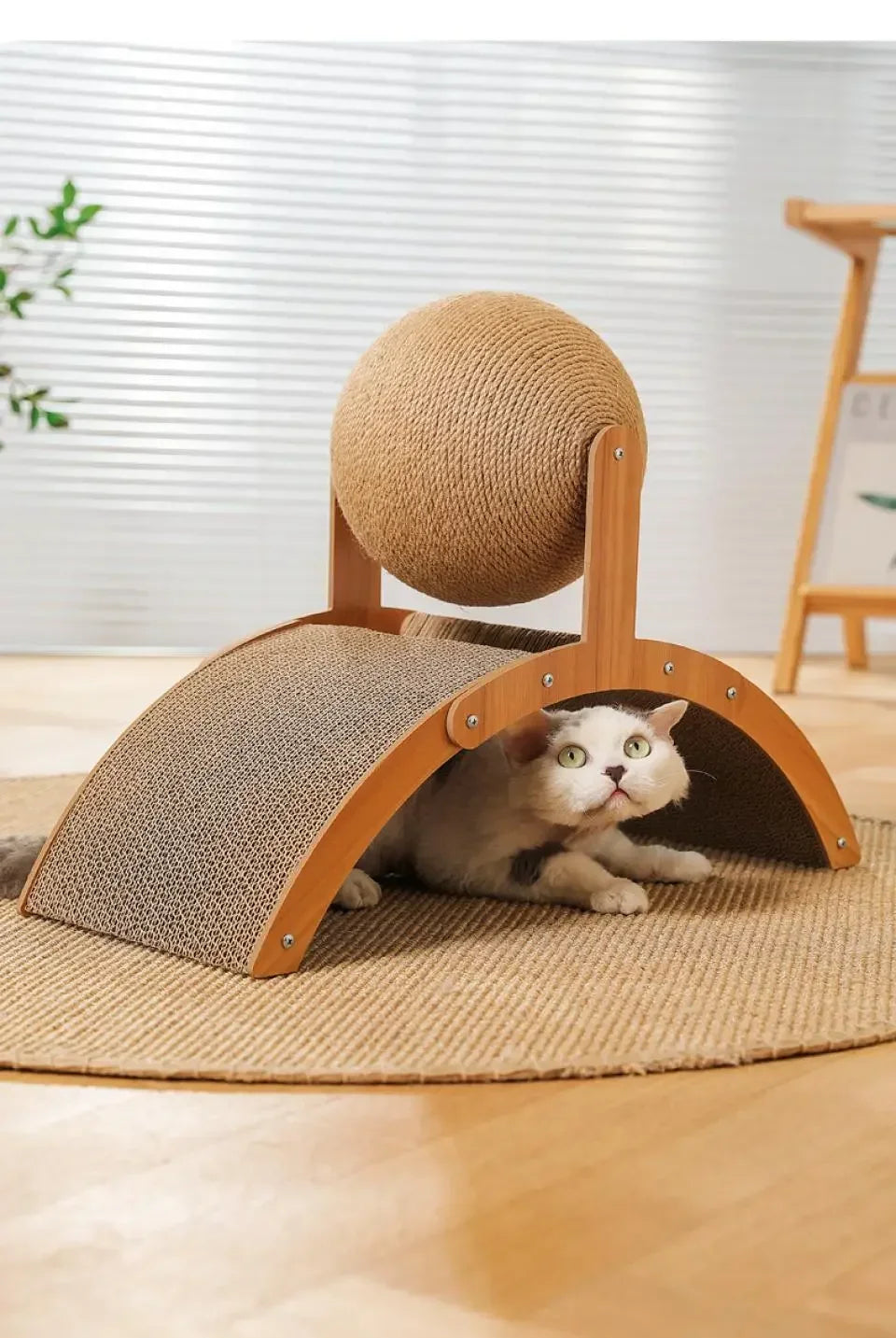 Wooden Cat Scratching Ball - 2 In 1 Scratcher