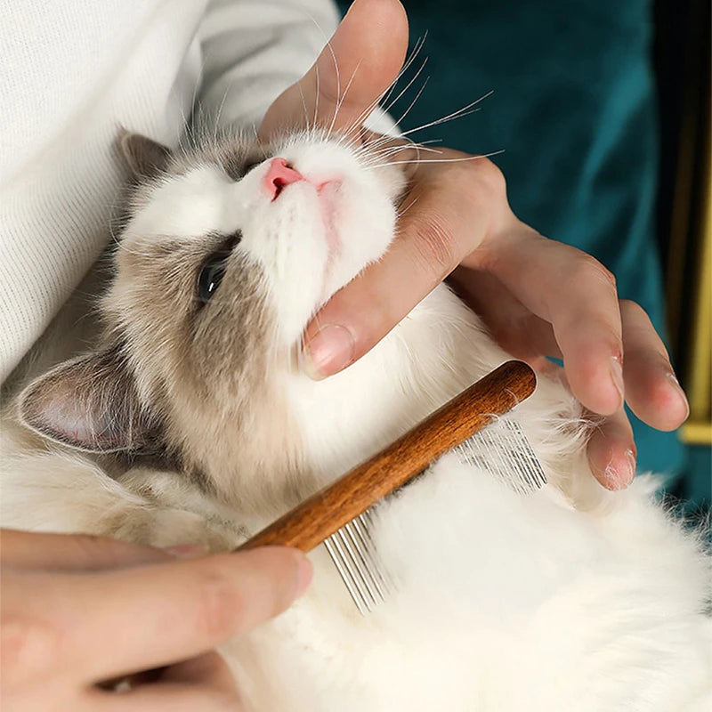 Stainless Steel Pet Hair Remover