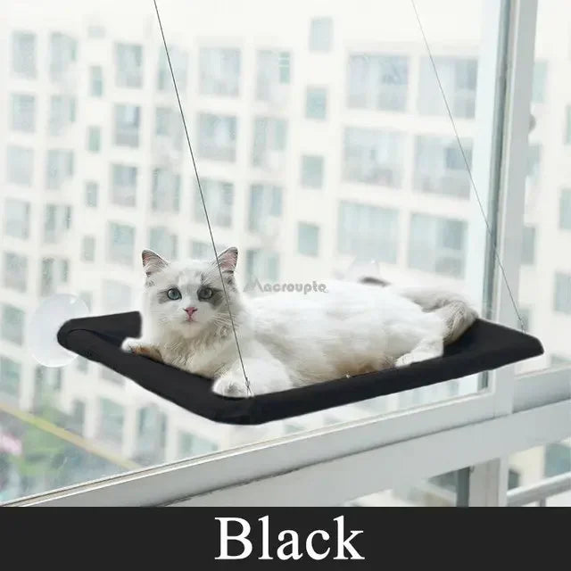 Window Hanging Cat Bed