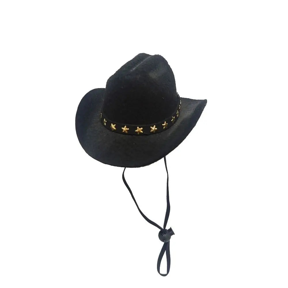 Adjustable Pet Crowboy Hat