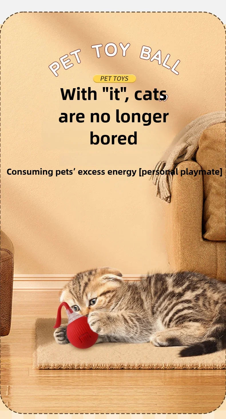 Cat Interactive Electric Ball