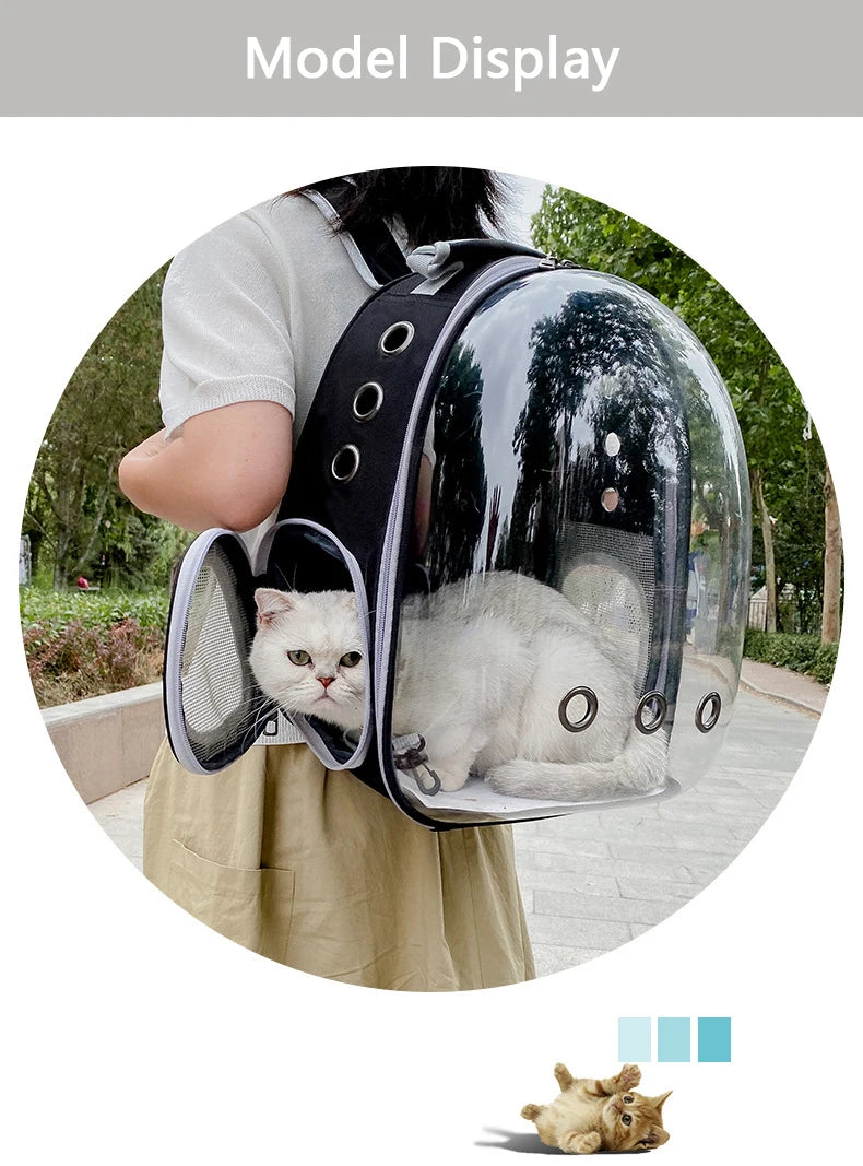 Pet Transparent Backpack