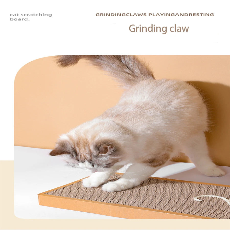 Cat Scratching Board