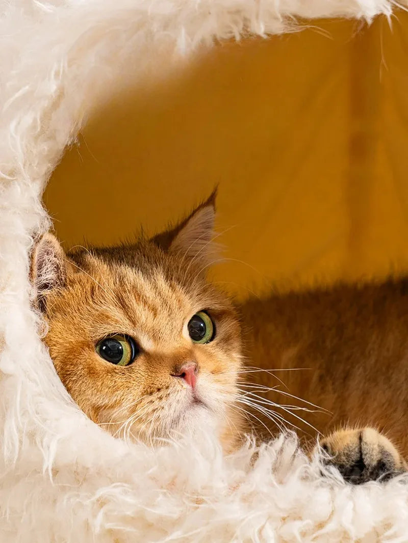 Comfortable Cats Bed
