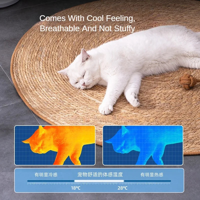 Cat Scratcher Rattan Mat