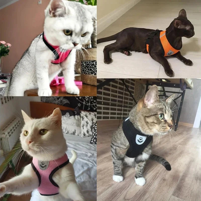 Harness Vest - Walking Lead Leash