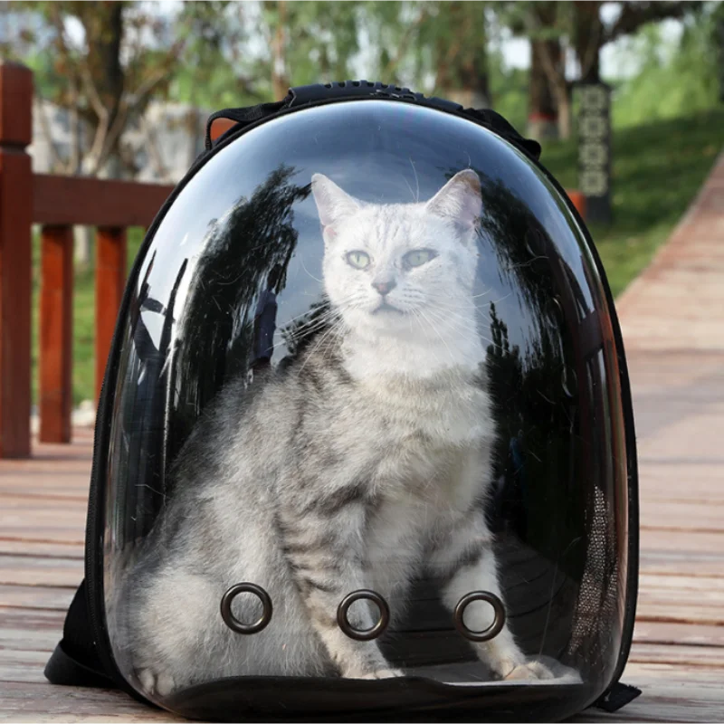 Breathable & Transparent Pet Backpack