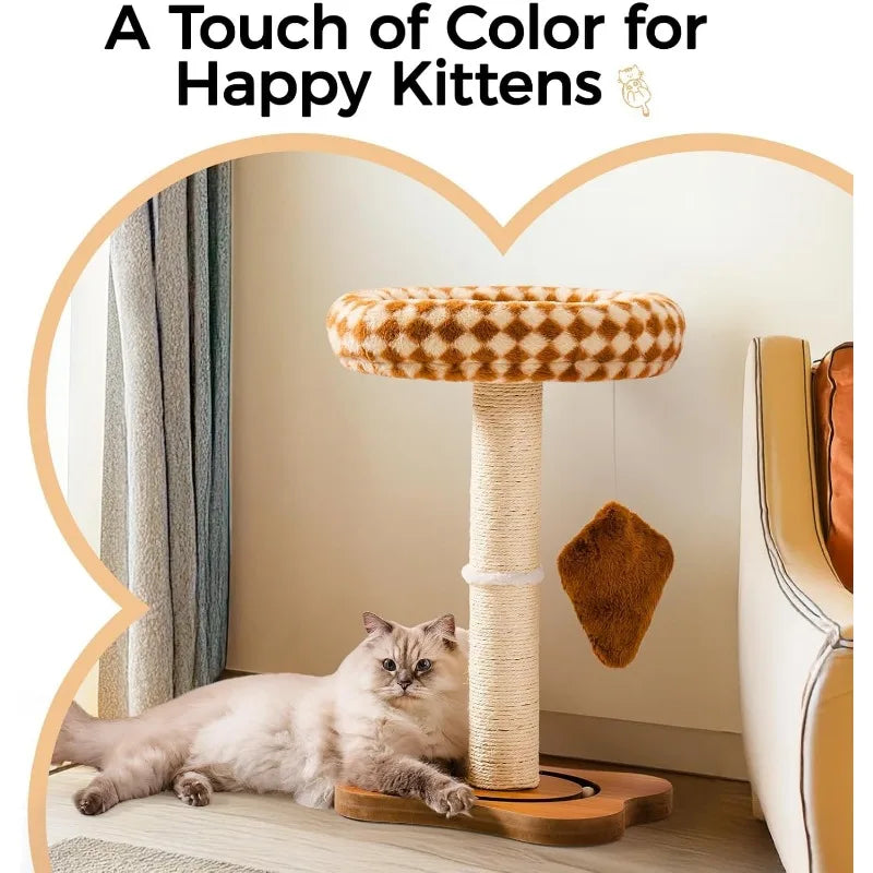 Cat Scratching Post with Bed