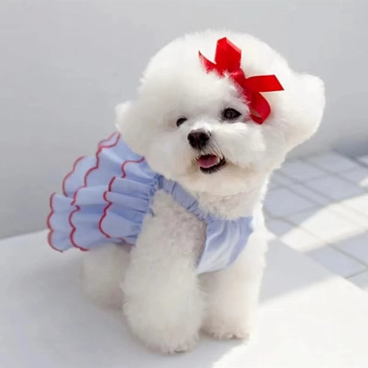Cute Puppy Princess Dress